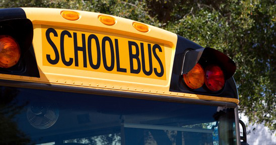 How can you look up your school bus number?
