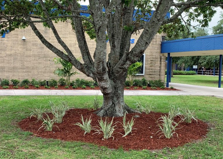Northport K-8 Landscaping